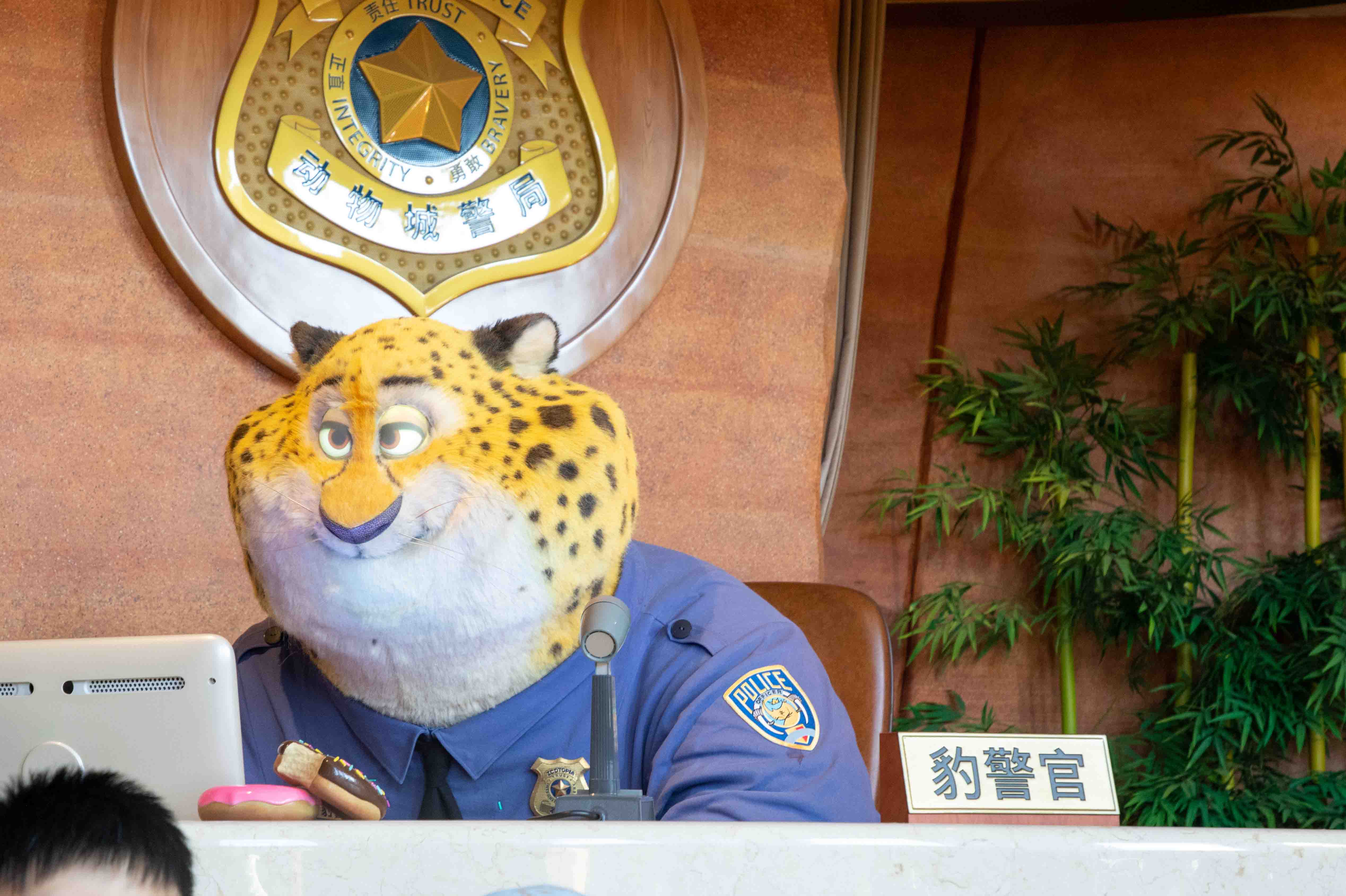 上海迪士尼-2